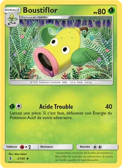 Boustiflor 2/145 Gardiens Ascendants