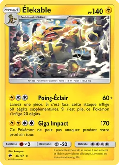 Élekable 43/147 Ombres Ardentes