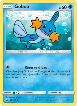 Gobou 32/168 Tempête Céleste