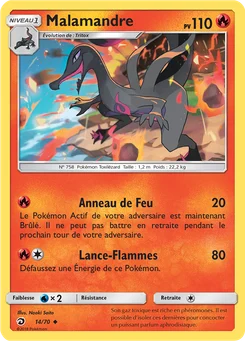 Malamandre 14/70 Majesté Des Dragons