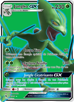 Jungko GX 196/214 Tonnerre Perdu