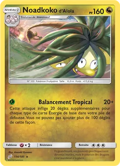 Noadkoko d’Alola 114/181 Duo de Choc