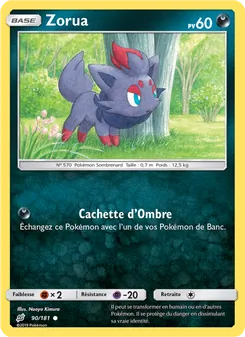 Zorua 90/181 Duo de Choc