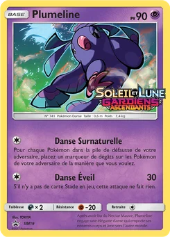Plumeline SM19 Promo SM