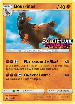 Bourrinos SM20 Promo SM