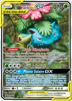 Florizarre et Vipélierre GX SM229 Promo SM