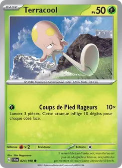Terracool 024/198 Écarlate et Violet