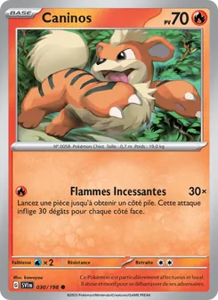 Caninos 030/198 Écarlate et Violet