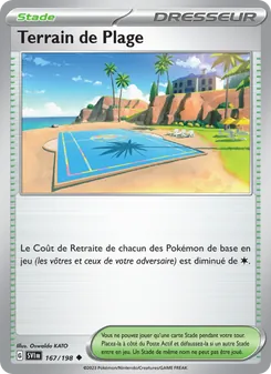 Terrain de Plage 167/198 Écarlate et Violet
