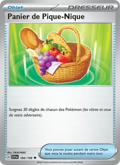 Panier de Pique-Nique 184/198 Écarlate et Violet