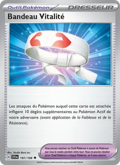 Bandeau Vitalité 197/198 Écarlate et Violet