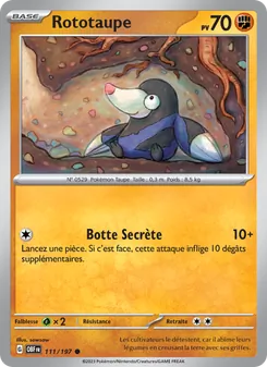Rototaupe 111/197 Flammes Obsidiennes