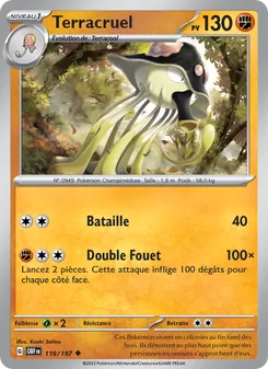Terracruel 119/197 Flammes Obsidiennes