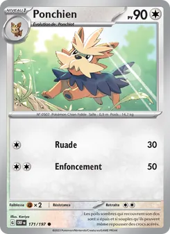 Ponchien 171/197 Flammes Obsidiennes