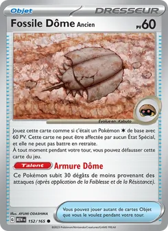 Fossile Dôme Ancien 152/165 151