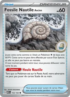 Fossile Nautile Ancien 153/165 151