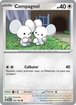 Compagnol 154/182 Faille Paradoxe