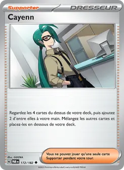 Cayenn 172/182 Faille Paradoxe