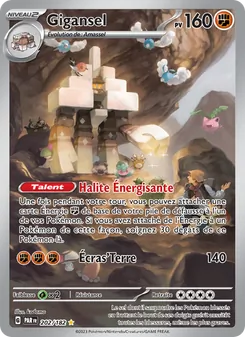 Gigansel 202/182 Faille Paradoxe