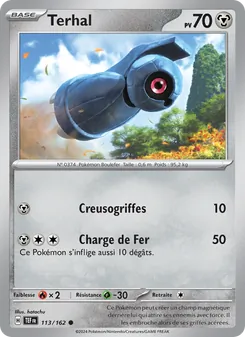 Terhal 113/162 Forces Temporelles