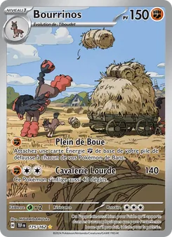 Bourrinos 175/162 Forces Temporelles