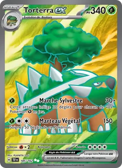 Torterra-ex 185/162 Forces Temporelles