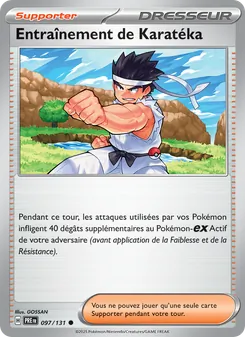 Entraînement de Karatéka 097/131 Évolutions Prismatiques