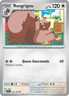 Rongrigou 132/159 Aventures Ensemble