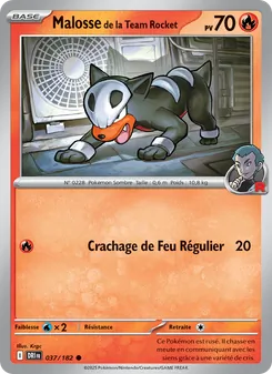 Malosse de la Team Rocket 037/182 Rivalités Destinées