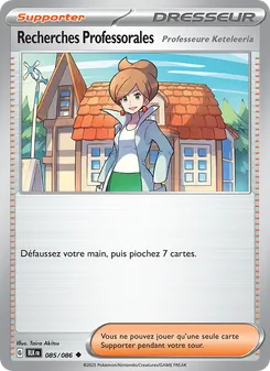 Recherches Professorales 085/086 Foudre Noire
