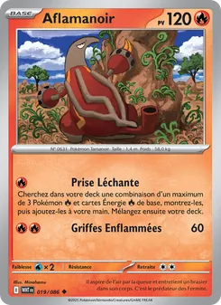 Aflamanoir 019/086 Flamme Blanche