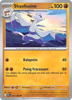 Shaofouine 053/086 Flamme Blanche