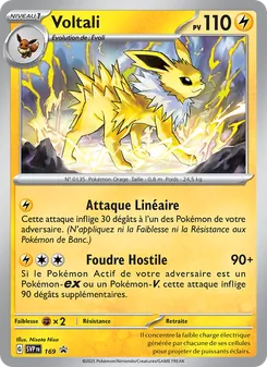 Voltali 169/225 SVP Black Star Promos