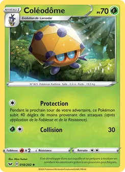 Coléodôme 18/202 Épée et Bouclier