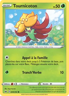 Tournicoton 20/202 Épée et Bouclier