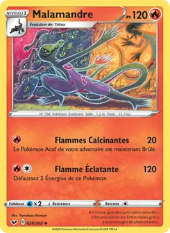 Malamandre 28/202 Épée et Bouclier