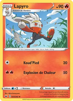 Lapyro 33/202 Épée et Bouclier