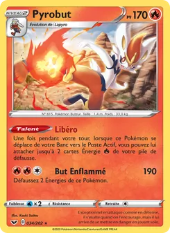 Pyrobut 34/202 Épée et Bouclier