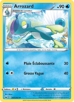 Arrozard 57/202 Épée et Bouclier