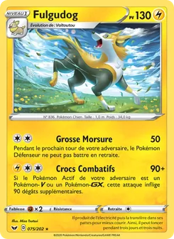 Fulgudog 75/202 Épée et Bouclier