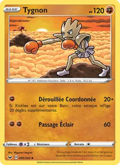 Tygnon 95/202 Épée et Bouclier