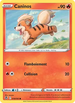 Caninos 019/195 Tempête Argentée