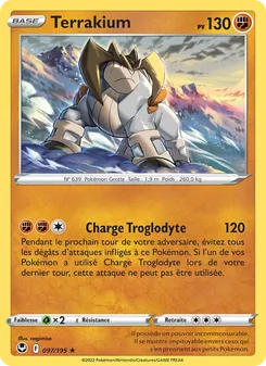 Terrakium 097/195 Tempête Argentée