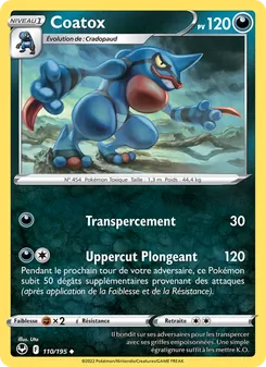 Coatox 110/195 Tempête Argentée