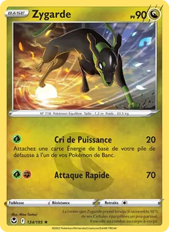 Zygarde 134/195 Tempête Argentée