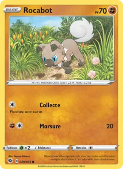 Rocabot 29/73 La Voie du Maître