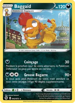 Baggaïd 42/73 La Voie du Maître