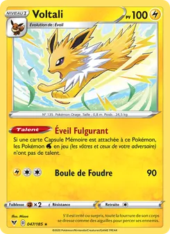 Voltali 47/185 Voltage Éclatant