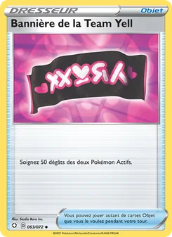 Bannière de la Team Yell 63/72 Destinées Radieuses
