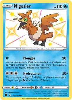 Nigosier SV030 Destinées Radieuses Coffre Étincelant